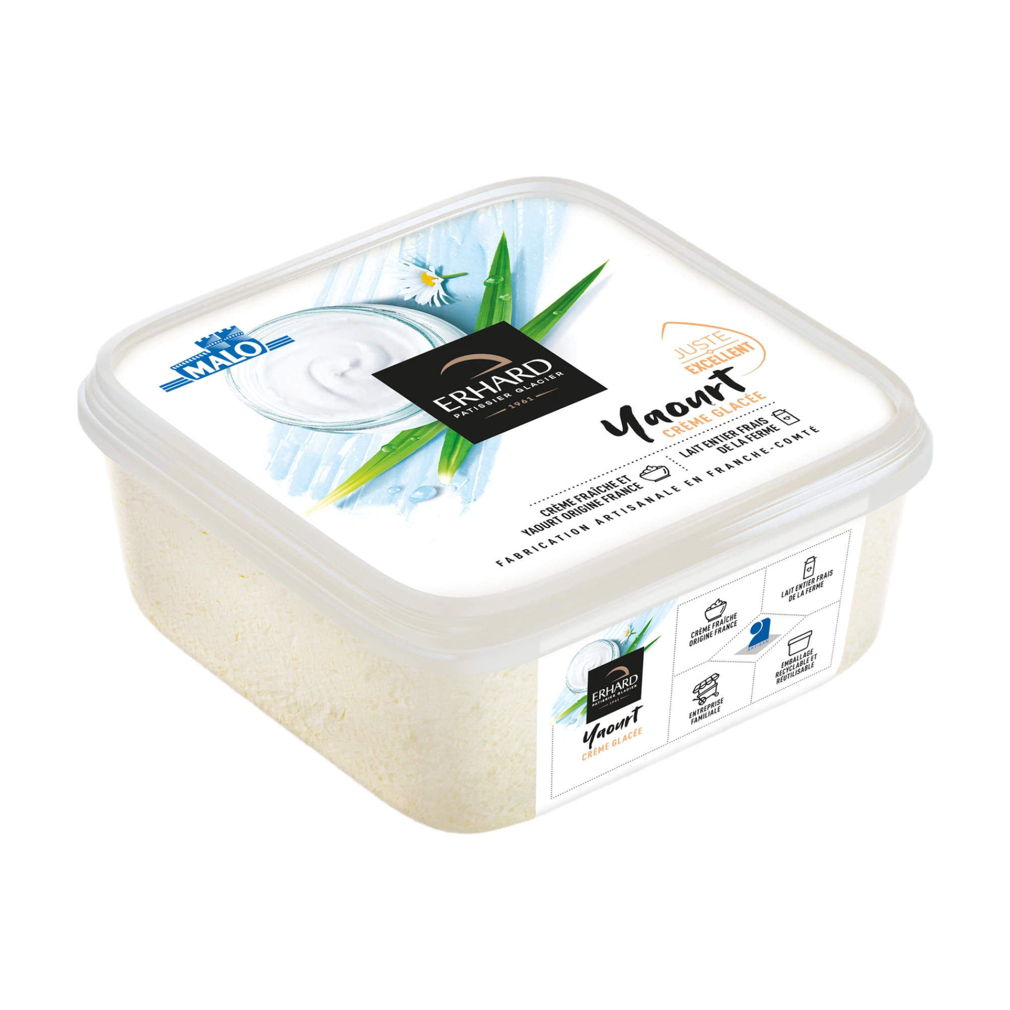 ERHARD Yogurt Ice Cream - 450 g